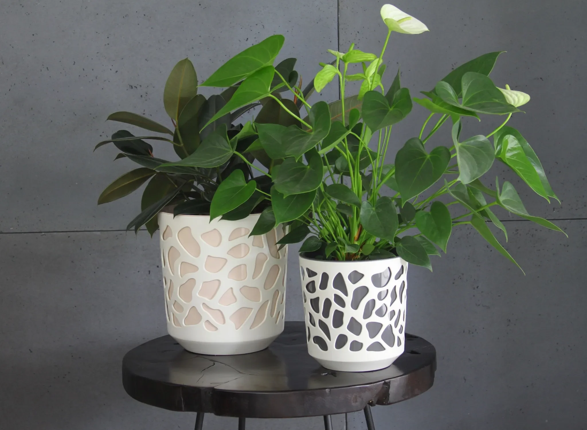 Blumentopf „DUET“ – creme, zweifarbiges Design